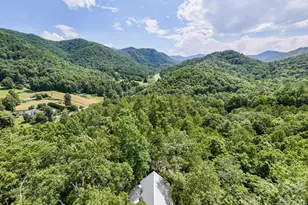 292 Wolf Creek Heights, Almond, NC 28702 - Photo 46