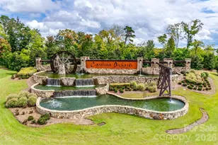 836 Bliss Dr, Fort Mill, SC 29715 - Photo 40