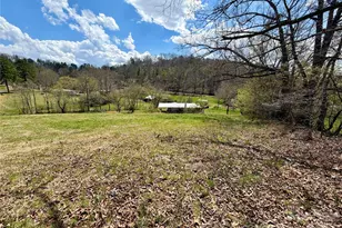 637 Fletcher Martin Rd, Alexander, NC 28701 - Photo 6