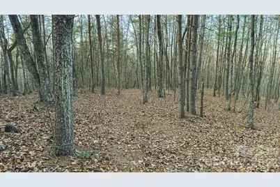 Tbd All Healing Springs Road #1, Taylorsville, NC 28681 - Photo 20