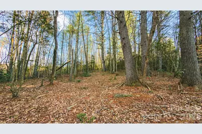 Tbd All Healing Springs Road #1, Taylorsville, NC 28681 - Photo 4