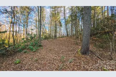 Tbd All Healing Springs Road #1, Taylorsville, NC 28681 - Photo 12