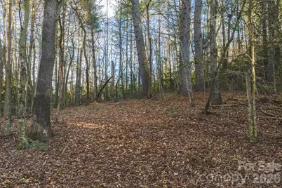 Tbd All Healing Springs Road #1, Taylorsville, NC 28681 - Photo 8