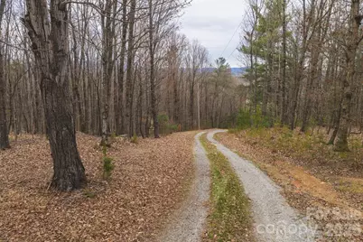 Tbd All Healing Springs Road #1, Taylorsville, NC 28681 - Photo 2