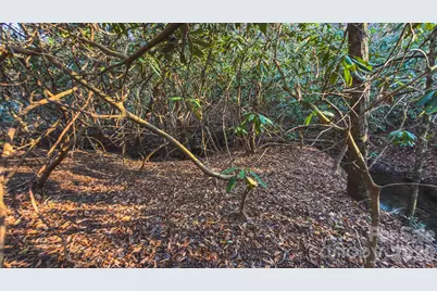 Tbd All Healing Springs Road #1, Taylorsville, NC 28681 - Photo 16