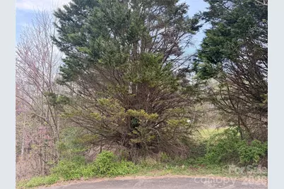 7557 Cowtail Lane, Connelly Springs, NC 28612 - Photo 6