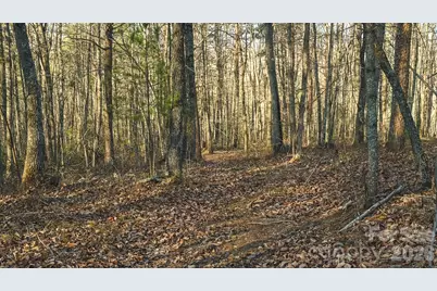 Tbd All Healing Springs Road #2, Taylorsville, NC 28681 - Photo 22