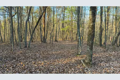 Tbd All Healing Springs Road #2, Taylorsville, NC 28681 - Photo 26