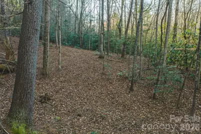 Tbd All Healing Springs Road #2, Taylorsville, NC 28681 - Photo 10