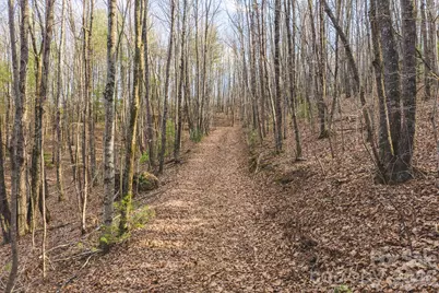 Tbd All Healing Springs Road #2, Taylorsville, NC 28681 - Photo 2