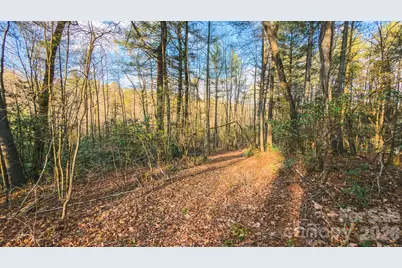 Tbd All Healing Springs Road #2, Taylorsville, NC 28681 - Photo 16