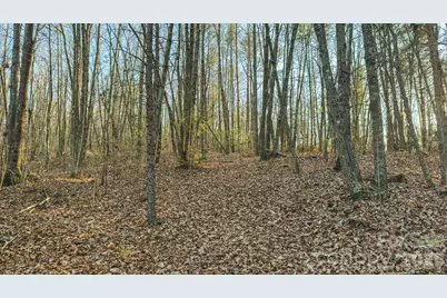 Tbd All Healing Springs Road #2, Taylorsville, NC 28681 - Photo 20