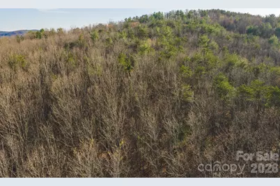 Tbd All Healing Springs Road #2, Taylorsville, NC 28681 - Photo 6