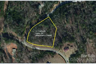 Lot 111 Trellis Drive, Nebo, NC 28761 - Photo 2