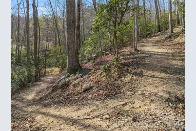 430 Parkway North Road, Mill Spring, NC 28756 - Photo 48