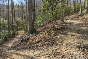 430 Pkwy N Rd, Mill Spring, NC 28756 - Photo 48