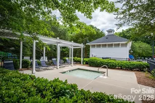 189 Mills Ln, Fort Mill, SC 29708 - Photo 42