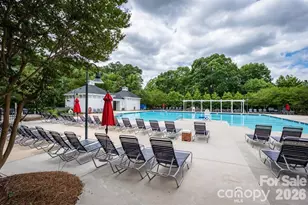 189 Mills Ln, Fort Mill, SC 29708 - Photo 40