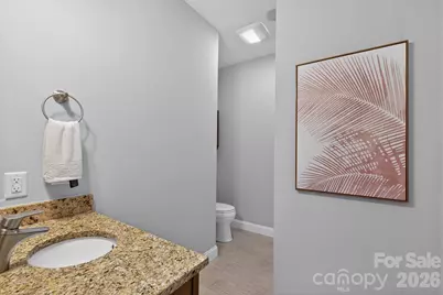 189 Mills Lane, Fort Mill, SC 29708 - Photo 30