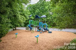 189 Mills Ln, Fort Mill, SC 29708 - Photo 18