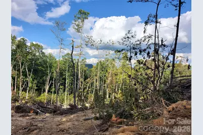 00 Parkwood Hill Road #32, Spruce Pine, NC 28777 - Photo 6