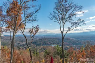 633 Altamont View, Asheville, NC 28804 - Photo 44