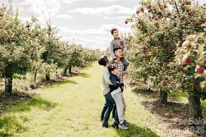 10 Eagle Drive, Hendersonville, NC 28792 - Photo 26