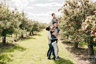 10 Eagle Dr, Hendersonville, NC 28792 - Photo 26