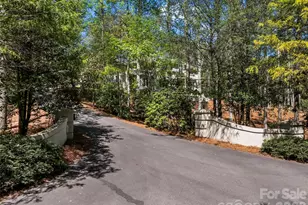 3 Fir Tree Ln, Asheville, NC 28803 - Photo 48