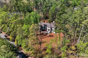3 Fir Tree Ln, Asheville, NC 28803 - Photo 44