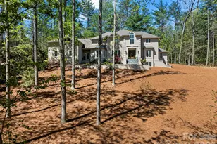 3 Fir Tree Ln, Asheville, NC 28803 - Photo 46