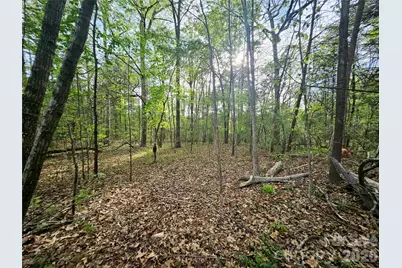 1110 Clark Hill Drive, Belmont, NC 28012 - Photo 12