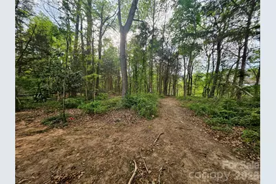 1110 Clark Hill Drive, Belmont, NC 28012 - Photo 6