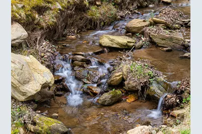 356 Curtis Creek Road, Candler, NC 28715 - Photo 2
