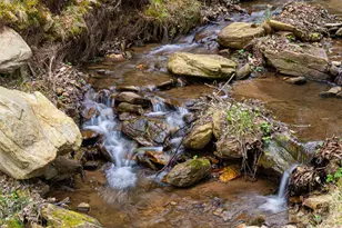 356 Curtis Creek Rd, Candler, NC 28715 - Photo 2