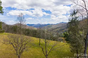 356 Curtis Creek Rd, Candler, NC 28715 - Photo 44