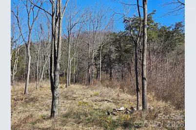 989 High Rock View Drive, Canton, NC 28716 - Photo 14