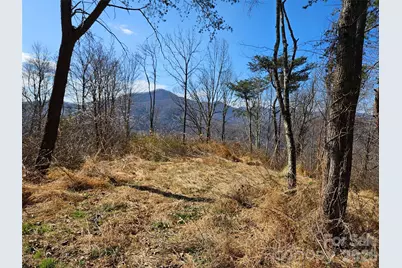 989 High Rock View Drive, Canton, NC 28716 - Photo 12