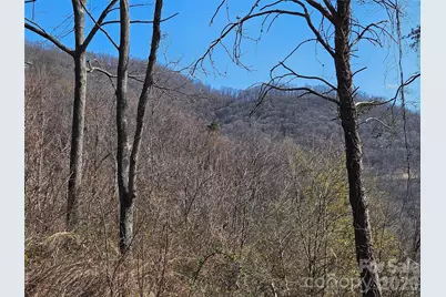 989 High Rock View Drive, Canton, NC 28716 - Photo 22