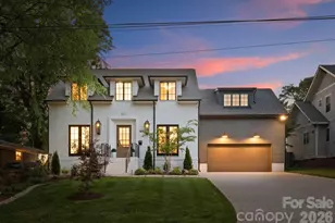 409 Bertonley Ave, Charlotte, NC 28211 - Photo 48