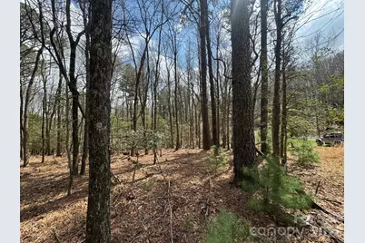 Tbd Ward Circle Drive #33, Sparta, NC 28675 - Photo 6