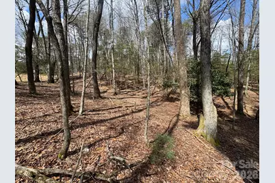 Tbd Ward Circle Drive #33, Sparta, NC 28675 - Photo 12