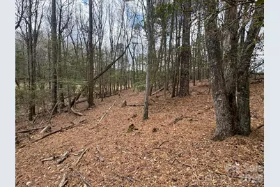 Tbd Ward Circle Drive #33, Sparta, NC 28675 - Photo 20