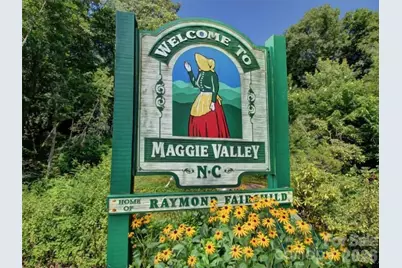 505 Middle Top Loop, Maggie Valley, NC 28751 - Photo 16