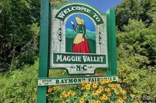 505 Middle Top Loop, Maggie Valley, NC 28751 - Photo 16
