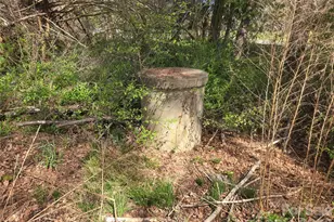 496 Old Henrietta Rd, Forest City, NC 28043 - Photo 2