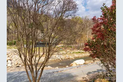 306 Southside Drive, Chimney Rock Village, NC 28720 - Photo 4