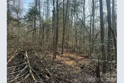 Tbd Billings Hill Church Road, Traphill, NC 28685 - Photo 8