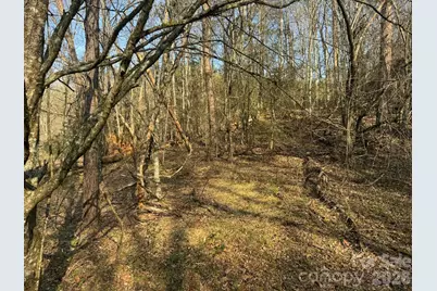 Tbd Billings Hill Church Road, Traphill, NC 28685 - Photo 10