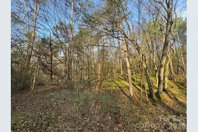 Tbd Billings Hill Church Road, Traphill, NC 28685 - Photo 12